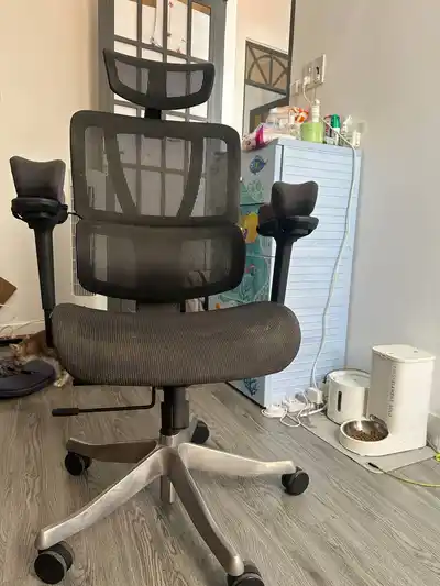 Эргономичное компьютерное кресло SMA Furniture Lumbar 03