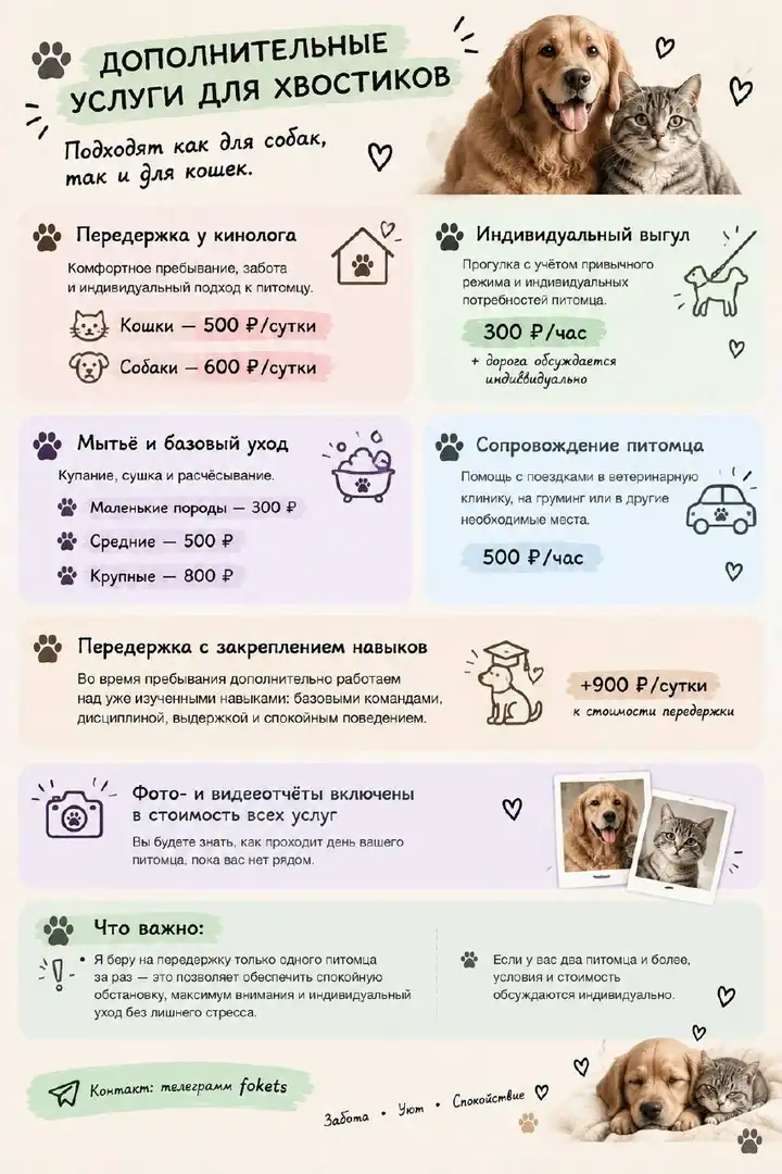 Услуги кинолога: воспитание, обучение и коррекция поведения собак