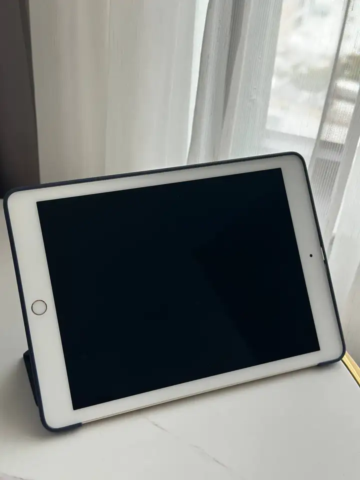 iPad Pro 9,7 128 ГБ
