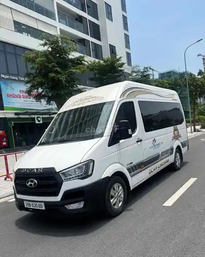 Hyundai Solati 16 мест - 2019 г.в., белый, 210 000 км