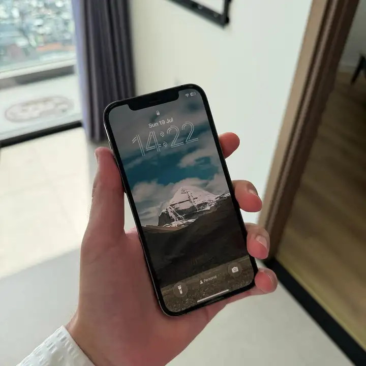 iPhone 12 Pro 256 GB Graphite