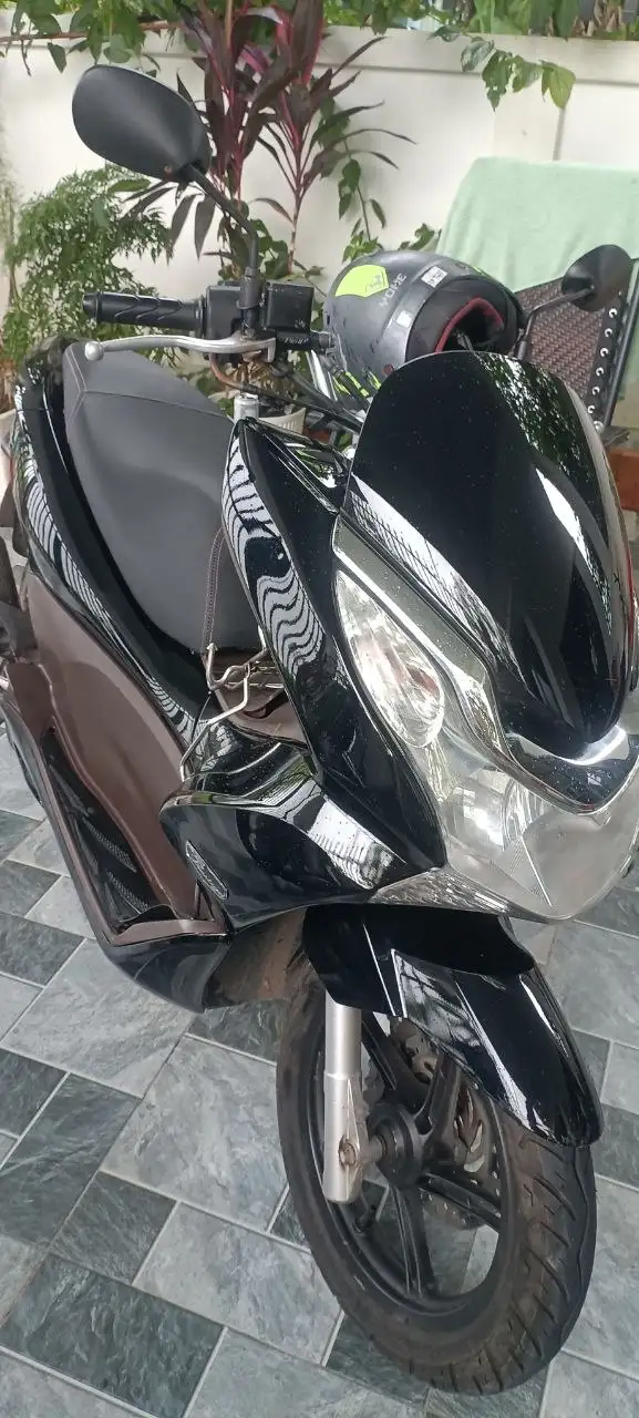 Аренда мотобайков Honda PCX