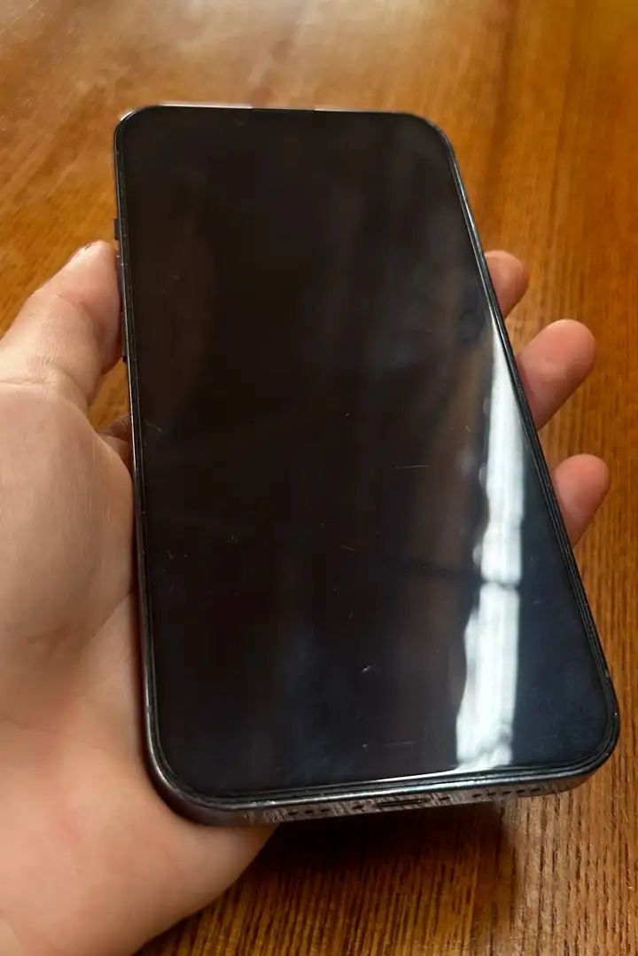iPhone 13 Pro 256 ГБ
