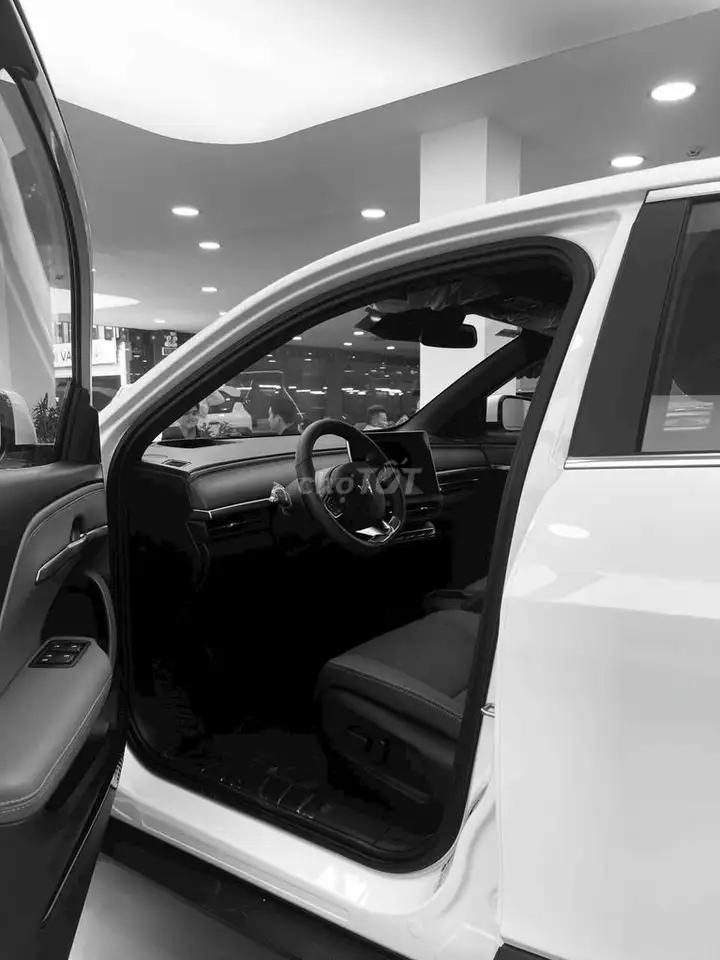 VinFast VF6 Plus, белый
