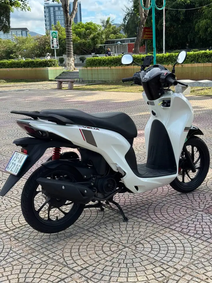 Velia 50 2025