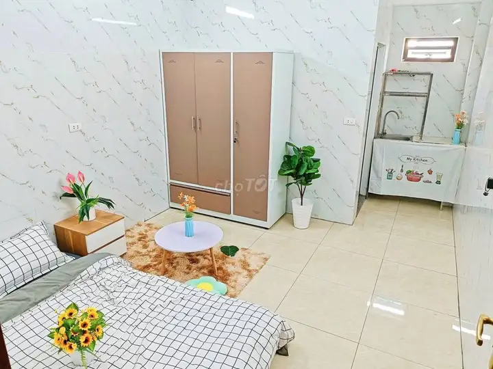 Комната ***, 53 Ngoa Long, 3,2 млн