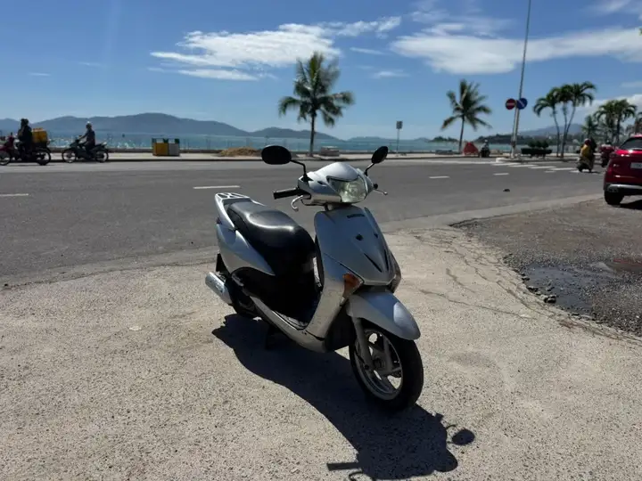 Honda Lead 2008