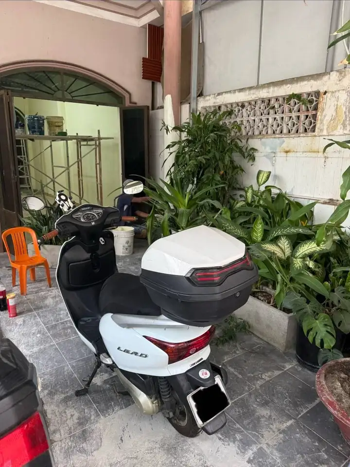 Honda Lead 110 cc