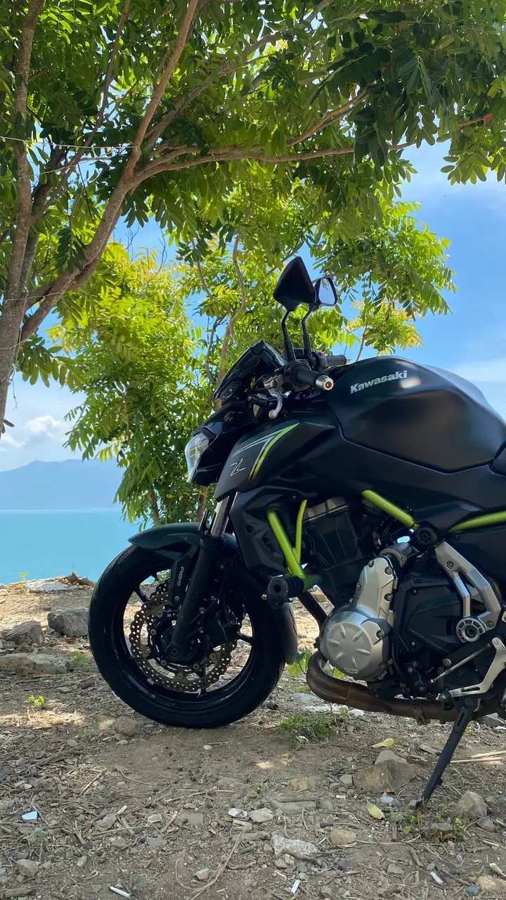 Kawasaki Z650 (2018)
