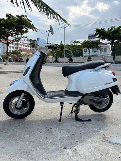 Dibao Pansyx 2020