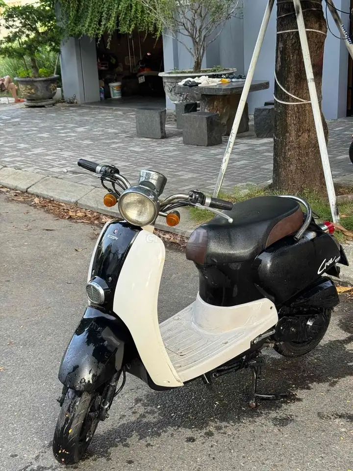 Honda Scoopy 50cc