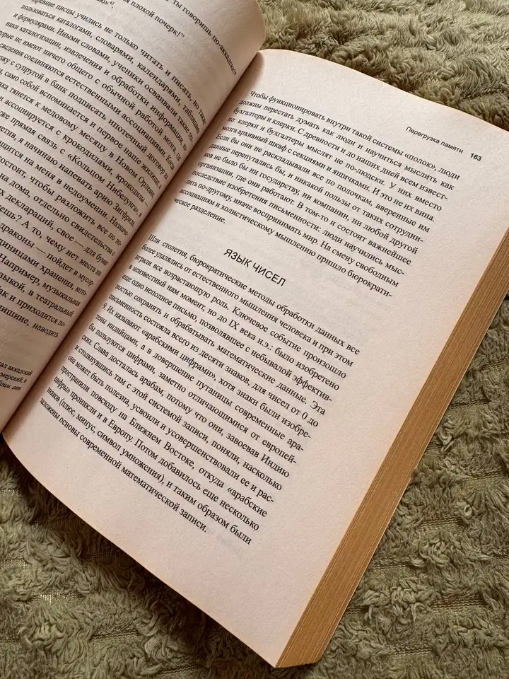 Книга Sapiens, дождевик на байк, шляпа, ящики, очки