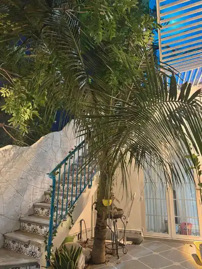 Просторный дом с видом на горы