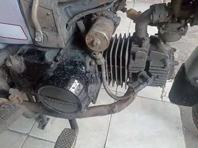 Honda Citi считает, что у нее есть автомобиль.