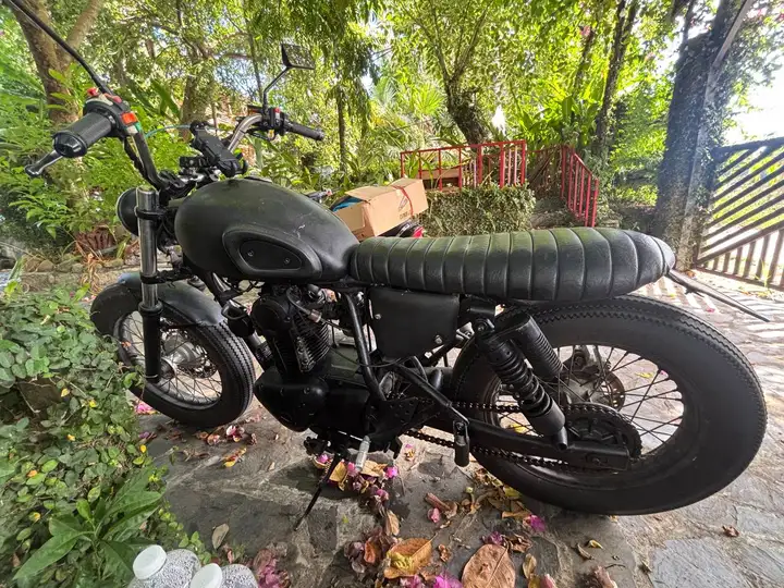 Kawasaki Estrella 250