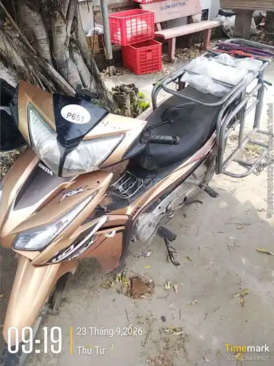 Honda RSX золото