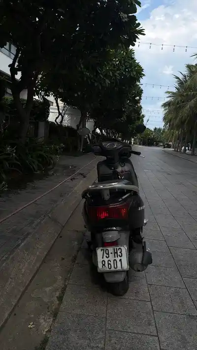 HONDA Lead