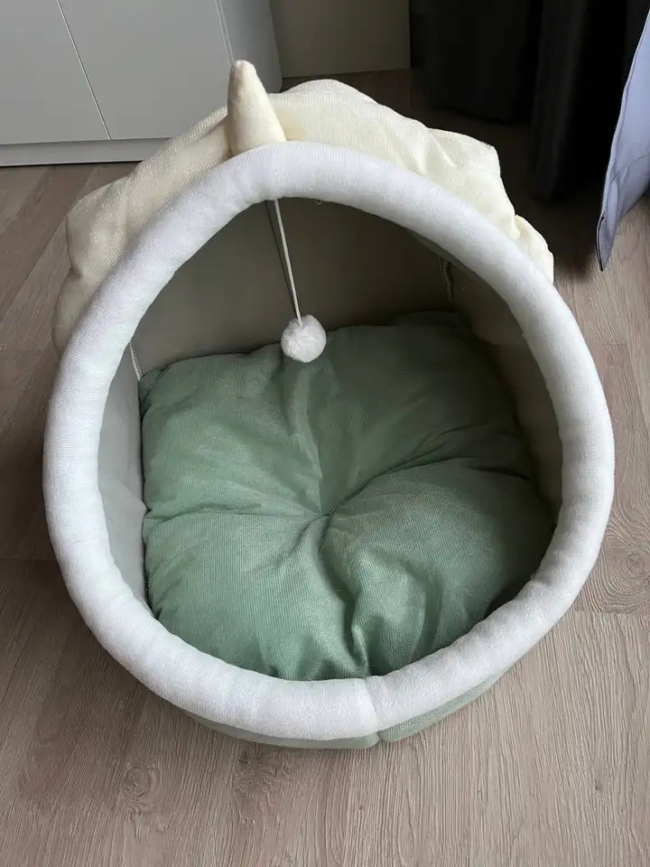 Кошачий домик и коврик для йоги