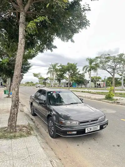 Honda Accord, серый, 5 мест