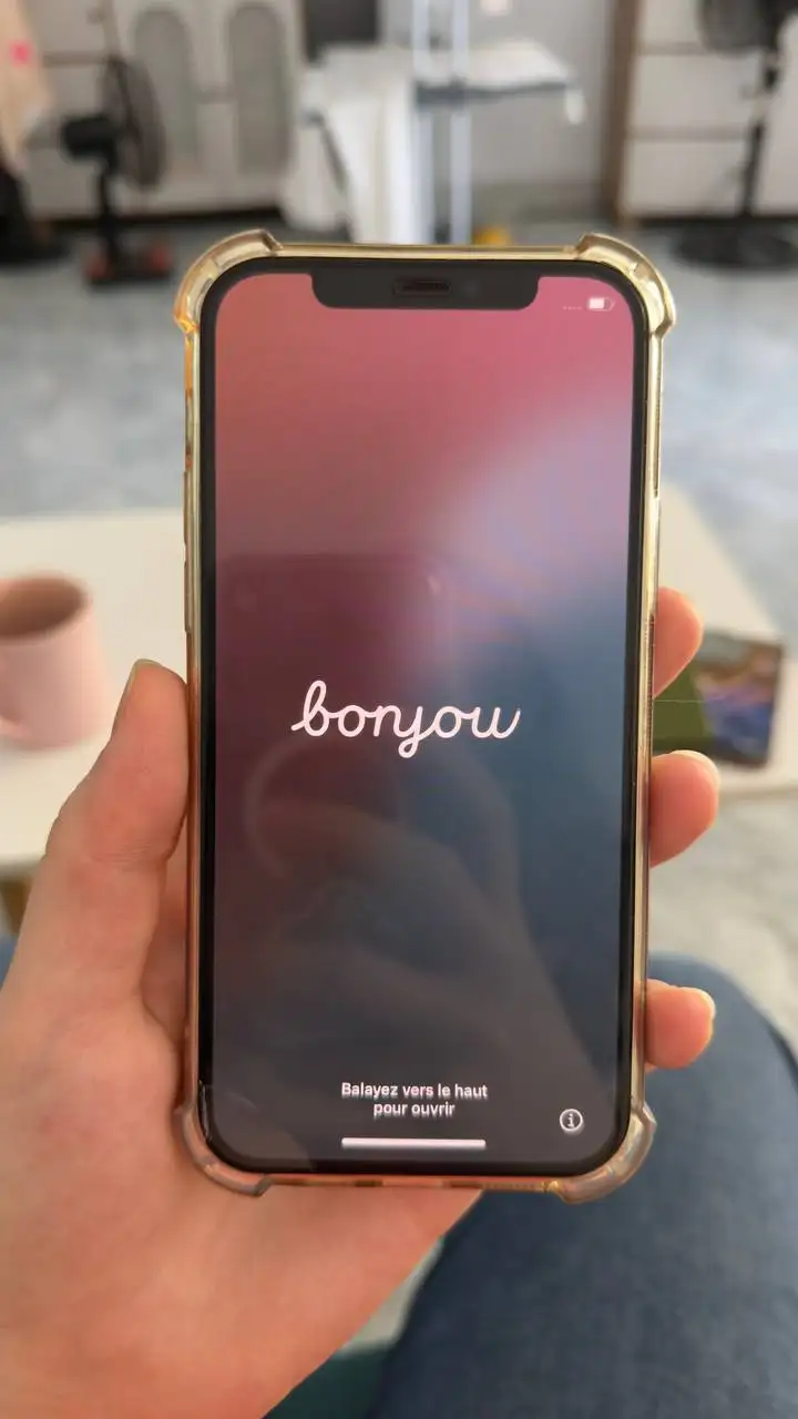 iPhone 12 Pro 256 GB Grey