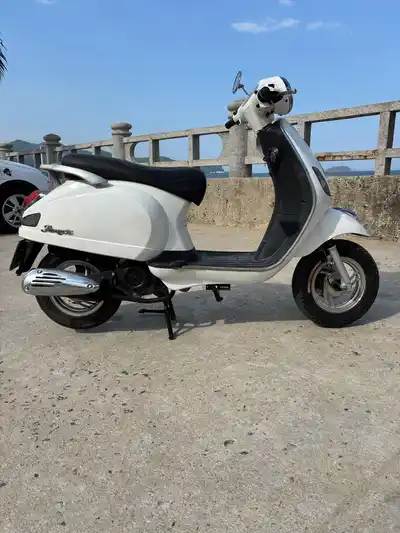 Dibao Pansyx 2020