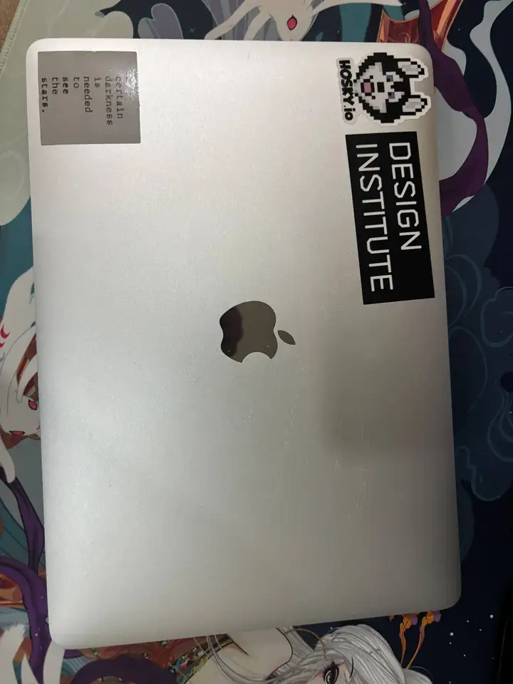 MacBook Pro 13" i5 (2017)