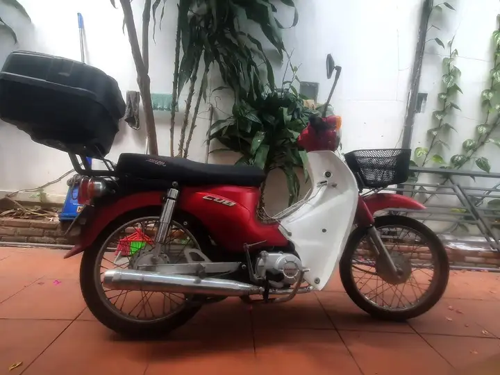 Daelim Krea Cup 50 (49cc)