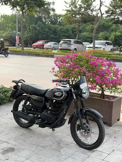 Kawasaki W175 2019, черный