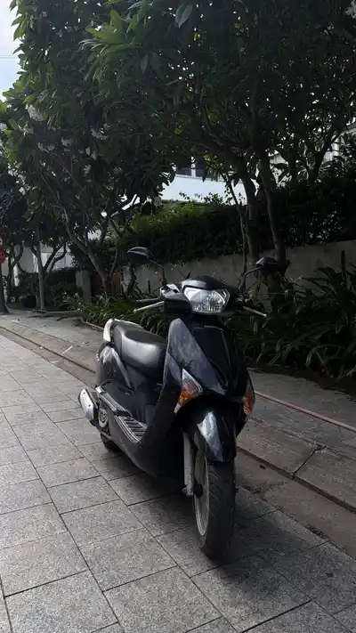 HONDA Lead
