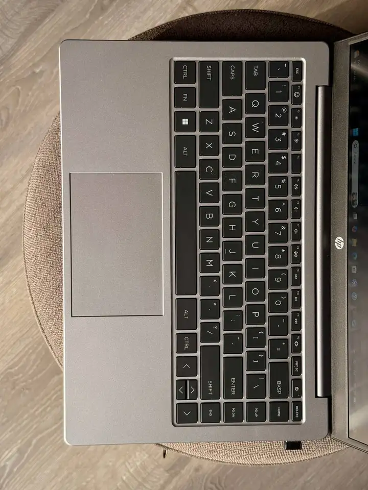 Ноутбук HP 245 G10