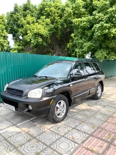 Hyundai Santa Fe Gold