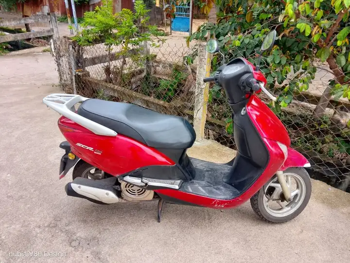 Honda SCR-110 2010