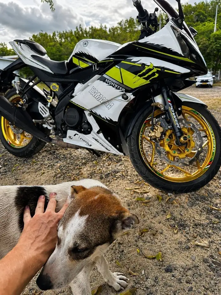 Yamaha R15v2 2015