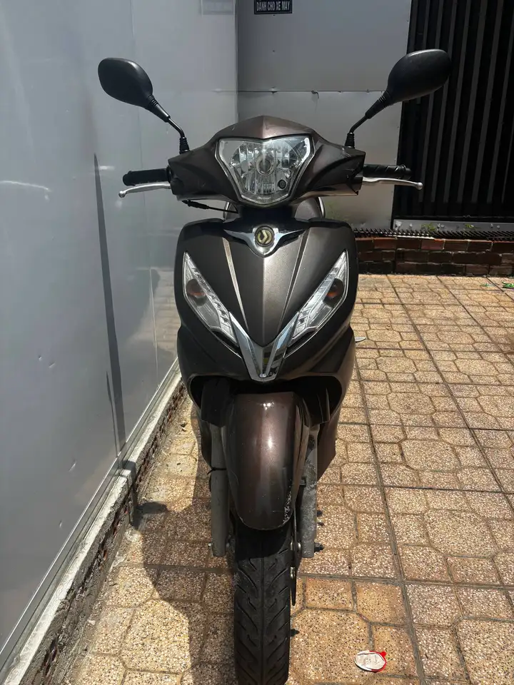 SHARK 124cc 2009