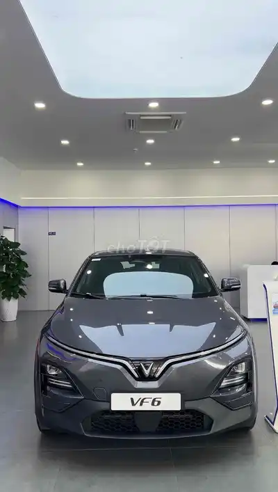 VinFast VF6 экологически чистый серый