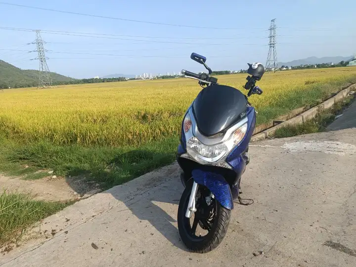 Honda PSX 2013