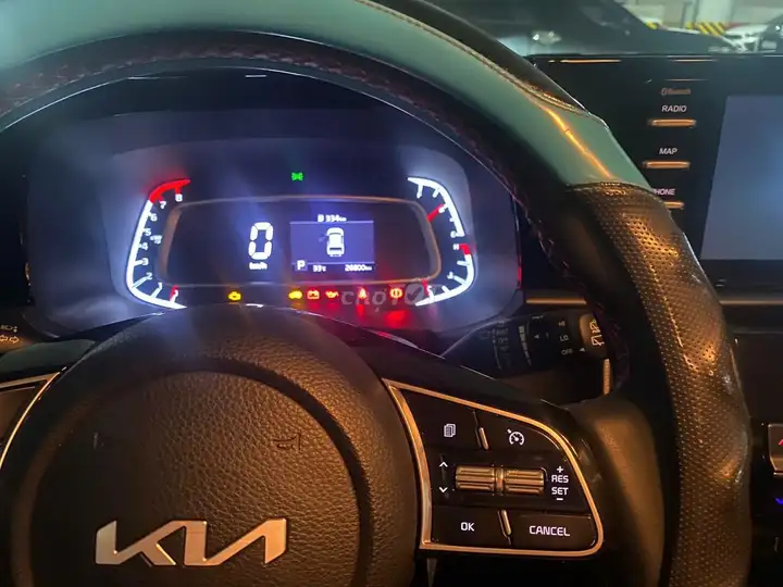 KIA Sonet Luxury 2023 Белый 28000 км
