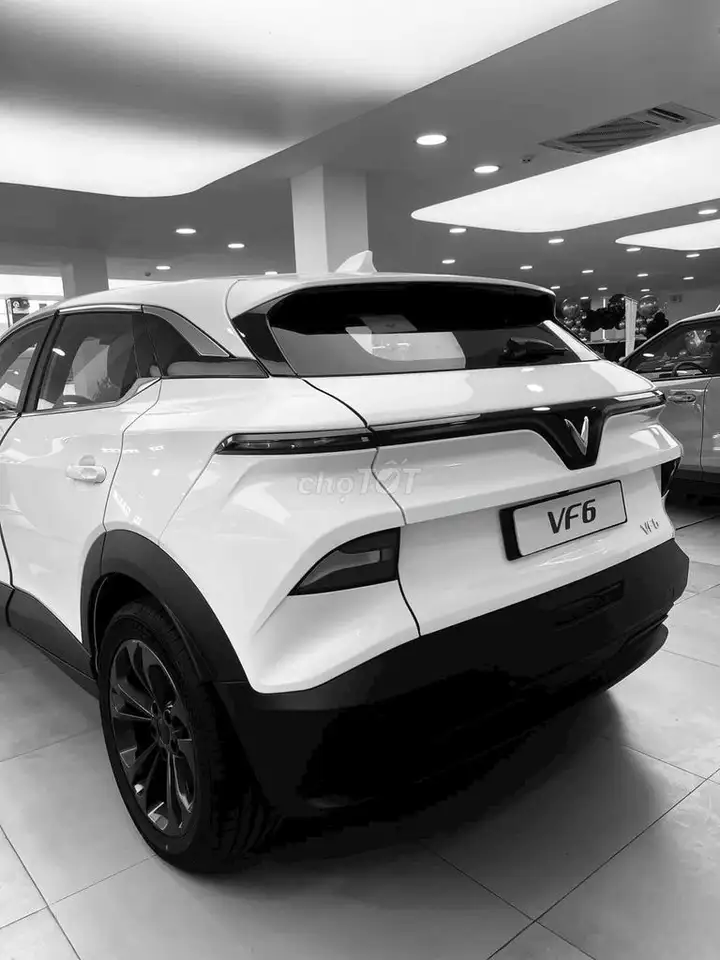 VinFast VF6 Plus, белый