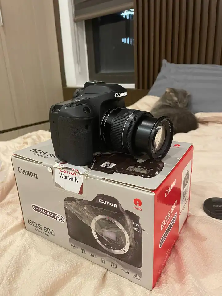 Canon EOS 80D + объектив EF-S 18-55mm IS STM
