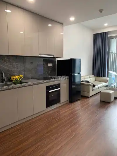 Квартира в аренду 1N+H3 полностью меблирована, вид на Уокинг-стрит + VinUni