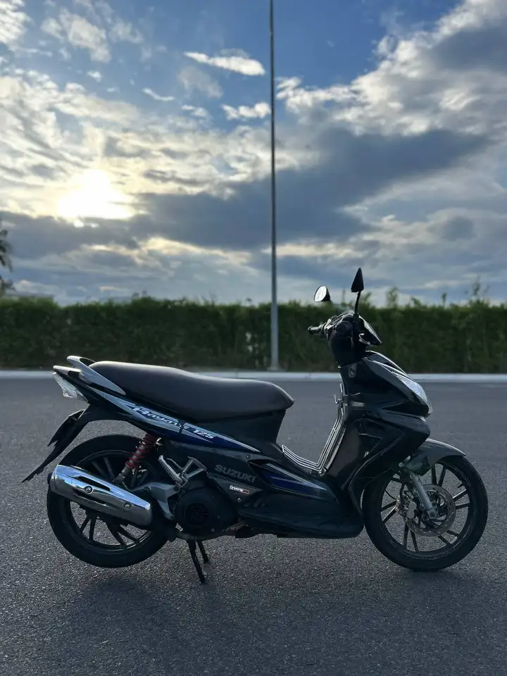 Suzuki Hayate 2008