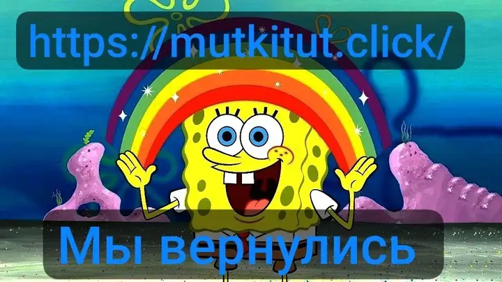 Mutkitut ваш надёжный гарант!
ПРОВЕРЕННЫЕ ПРОДАВЦЫ
🌱шиш
😸мяу
1⃣ первый