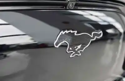 Ford Mustang Mach-E черный