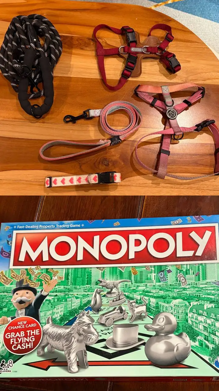 Амуниция для собак и Monopoly Hasbro