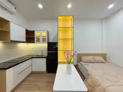 Квартира на улице Ле Динь Ли, центр