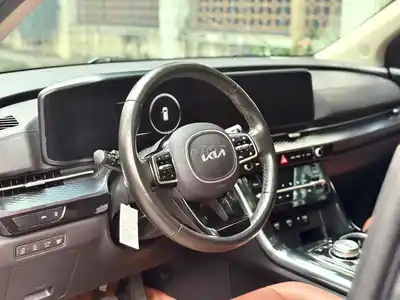 Kia Carnival Signature 2.2D Full 2022 серый