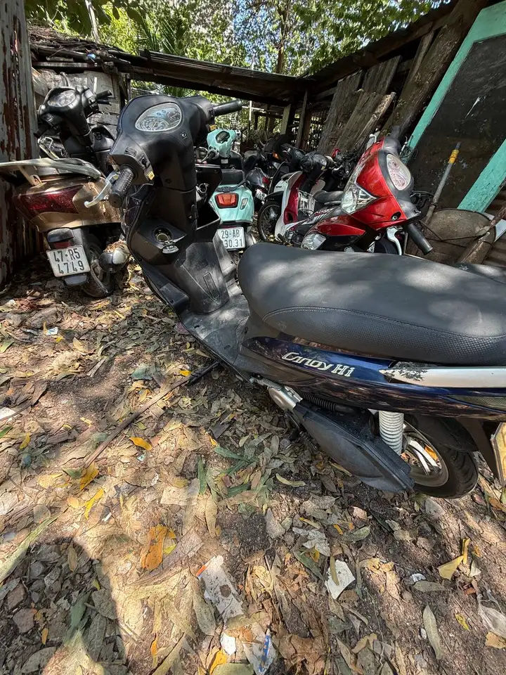 KYMCO CANDY HI 50cc