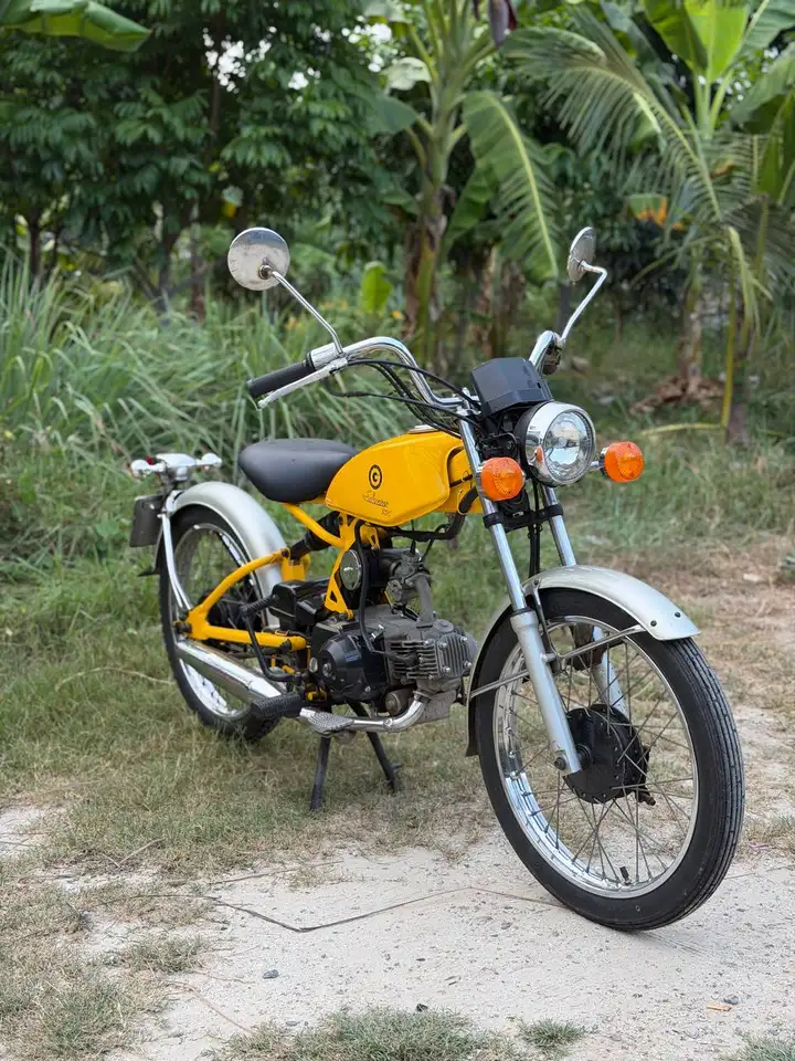 Solowins 50cc 2011