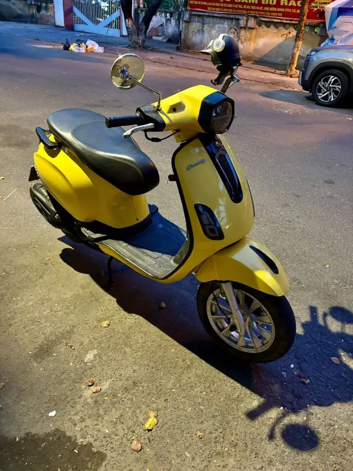 CANELY 50cc
