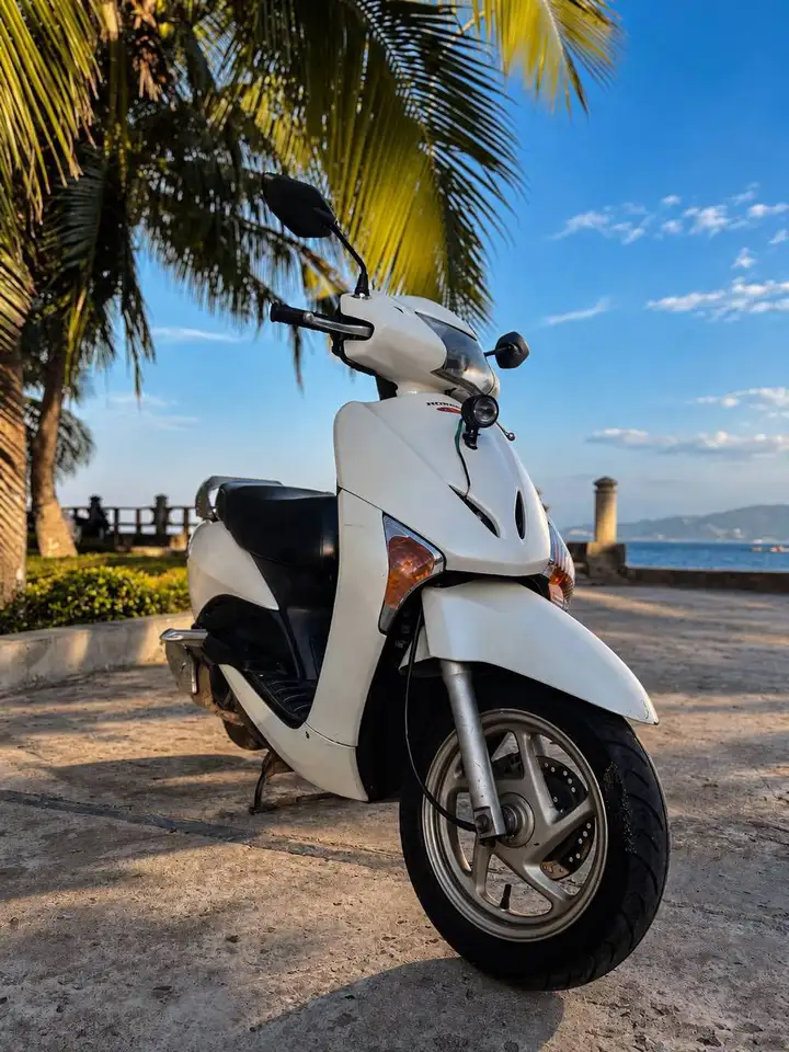 Honda LEAD 2010